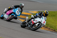 PJ-Motorsport-2019;anglesey-no-limits-trackday;anglesey-photographs;anglesey-trackday-photographs;enduro-digital-images;event-digital-images;eventdigitalimages;no-limits-trackdays;peter-wileman-photography;racing-digital-images;trac-mon;trackday-digital-images;trackday-photos;ty-croes
